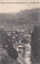 1907-trieben.jpg