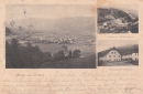 1903-trieben.jpg