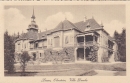 Liezen-obrsteier-villa_dumba_1913.jpg
